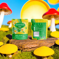 GOOMZ Functional Mushroom Gummies Focus With Lion's Mane and Cordyceps